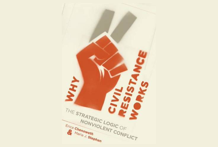 Görsel Why Civil Resistance Works isimli kitabın kapağı (Türkçesi Sivil Direniş Neden İşe Yarar?). Görselde bir grafik tasarım kullanılmış. Beyaz fon üzerinde, yumruk yapılmış turuncu renkte bir el iç açıdan, bilek de dahil edilerek yer alıyor. Elin sıkılmış parmakları köşeli çizgilerle ve beyaz bir dış çizgiyle vurgulanmış.Yumruğun üzerinde işaret ve orta parmağın barış işareti yapan gölgesi gri renkte yansıtılmış. El hem yumruğunu sıkmış hem de gölgesinde barış işareti yapıyor. Bu imajın iki yanında dikey olarak ve turuncu renkte büyük ve kalınlaştırılmış harflerle kitabın ismi ilk kelimesi elin soluna kalan üç kelime sağına gelecek şekilde yazılmış. İmajın altında ise yatay olarak siyah renkte The Strategic Logic of Nonviolent Conflict yazısı var (Türkçesi Şiddetsiz Çatışkının Stratejik Mantığı). Bu yazının altında turuncudan griye dönen düz bir çizgi var. Çizginin altında kitabın yazarlarının isimleri Erica Chenowth & Maria J. Stephan yazıyor.