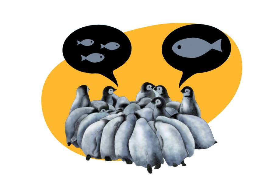 Görsel, beyaz zeminin üstünde oval sarı bir çerçeve içine alınmış, üşümemek için bir daire oluşturarak birbirine sokulmuş, birbirinin üstüne eğilmiş bir grup pengueni resmeden bir çizim. Grubu oluşturan penguenlerin bir kısmının kafaları içe gömük ve sadece sırtlarını görüyoruz. 4-5 penguen ise ayakta ve yüzlerinin tamamı ya da bir kısmı görünüyor. Bu penguenlerden en sağdakinin üzerinde içinde, siyah zemin üzerine koyu gri renkte resmedilmiş büyük bir adet balık olan yuvarlak bir konuşma balonu var. Sol taraftaki bir penguenin tepesinde ise zemini siyah bir konuşma balonu içinde koyu gri renkte üç küçük balık yerleştirilmiş.